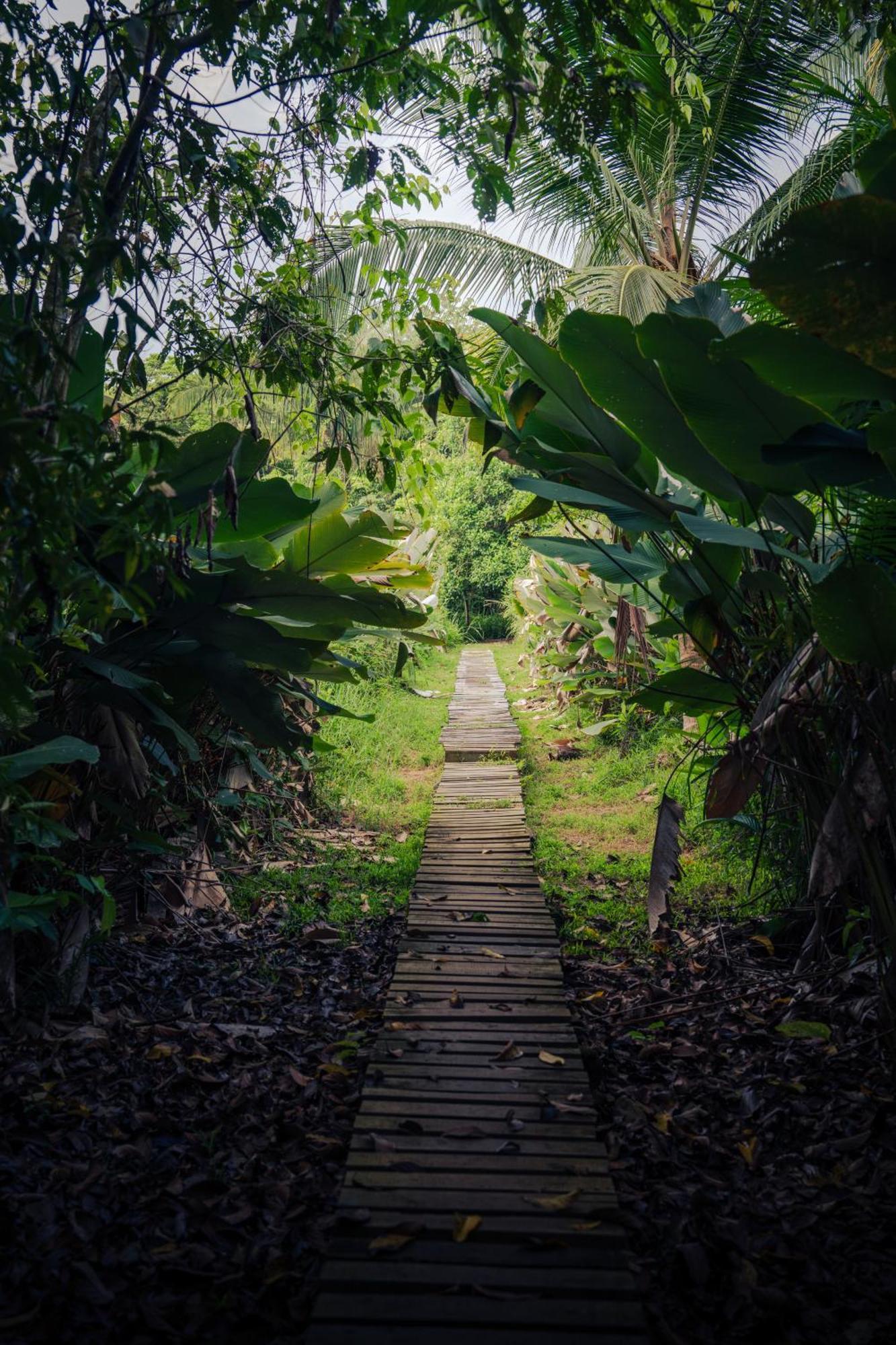 Hacienda Baru Villa Dominical Eksteriør billede