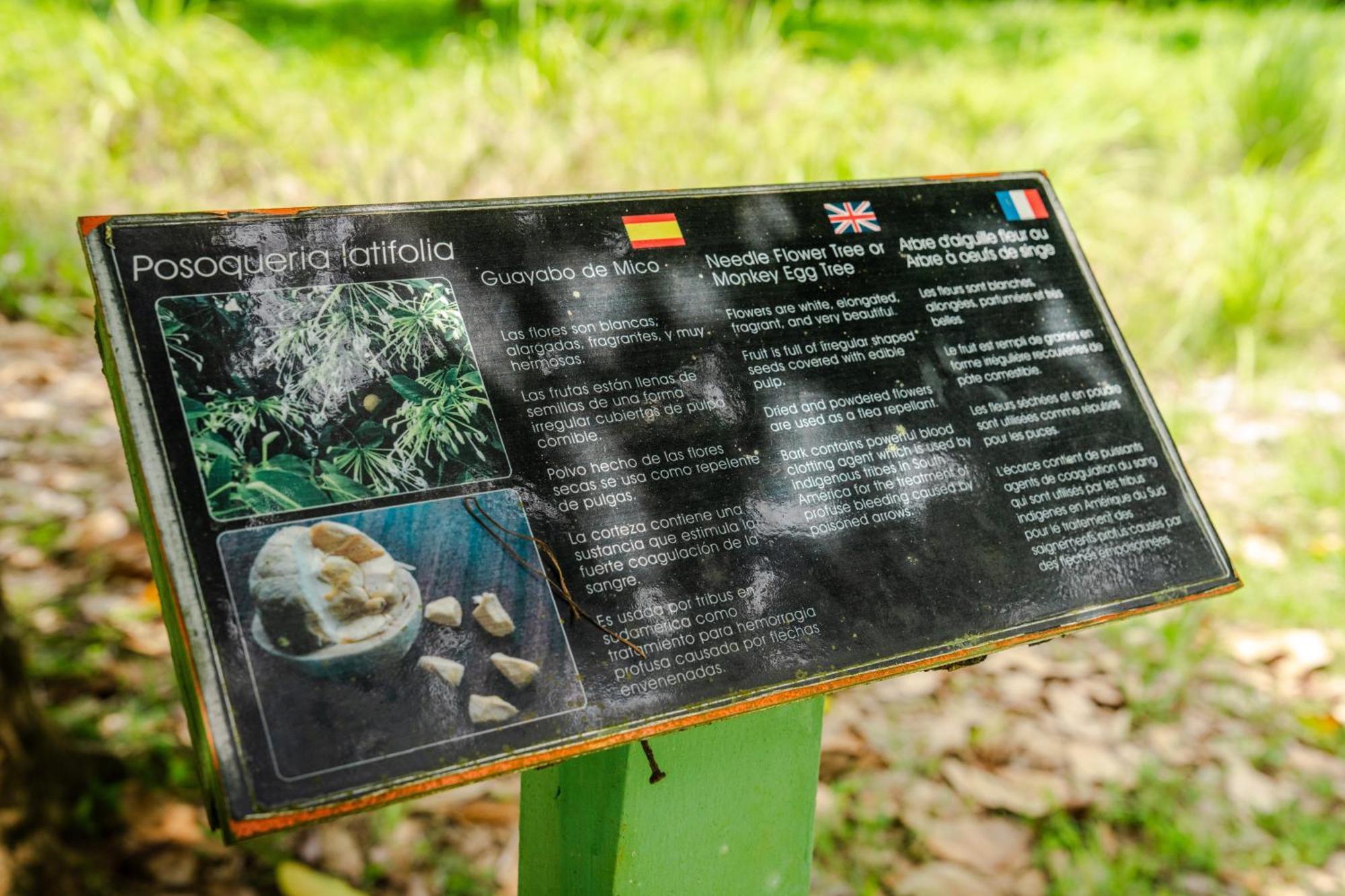 Hacienda Baru Villa Dominical Eksteriør billede