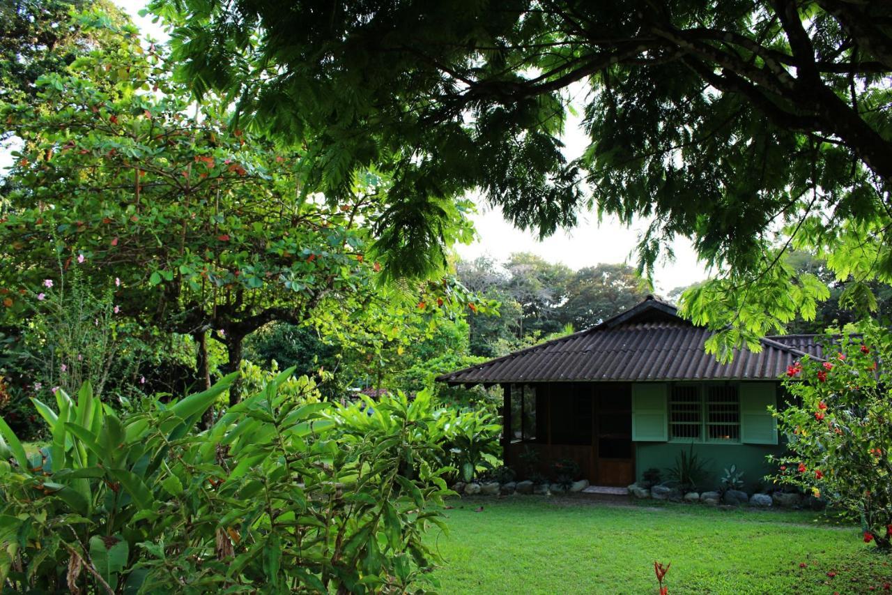 Hacienda Baru Villa Dominical Eksteriør billede